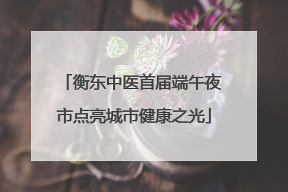 衡东中医首届端午夜市点亮城市健康之光