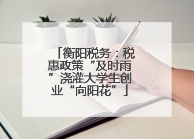 衡阳税务：税惠政策“及时雨”浇灌大学生创业“向阳花”