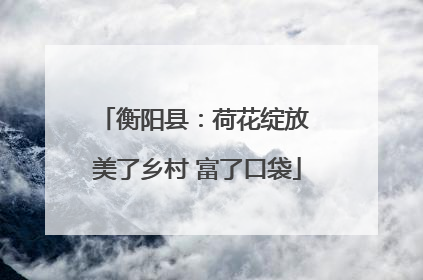 衡阳县：荷花绽放 美了乡村 富了口袋