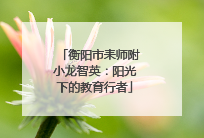 衡阳市耒师附小龙智英：阳光下的教育行者