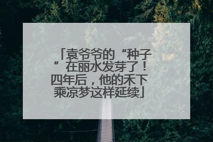 袁爷爷的“种子”在丽水发芽了！四年后，他的禾下乘凉梦这样延续