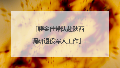 裴金佳带队赴陕西调研退役军人工作