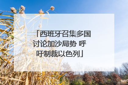 西班牙召集多国讨论加沙局势 呼吁制裁以色列