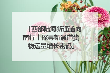 西部陆海新通道向南行丨探寻新通道货物运量增长密码
