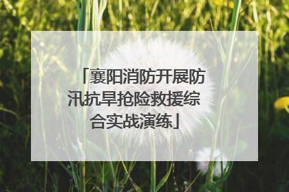 襄阳消防开展防汛抗旱抢险救援综合实战演练