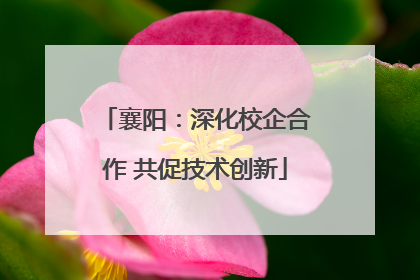 襄阳：深化校企合作 共促技术创新