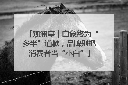 观澜亭｜白象终为“多半”道歉，品牌别把消费者当“小白”