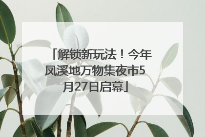 解锁新玩法！今年凤溪地万物集夜市5月27日启幕