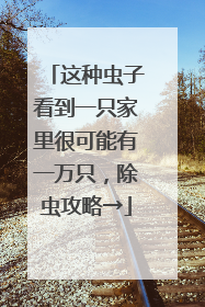这种虫子看到一只家里很可能有一万只，除虫攻略→