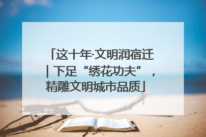 这十年·文明润宿迁｜下足“绣花功夫”，精雕文明城市品质