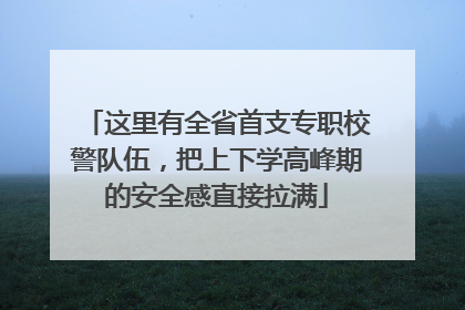 这里有全省首支专职校警队伍，把上下学高峰期的安全感直接拉满