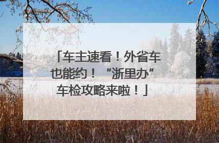 车主速看！外省车也能约！“浙里办”车检攻略来啦！