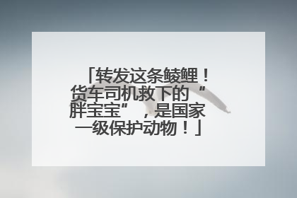 转发这条鲮鲤！货车司机救下的“胖宝宝”，是国家一级保护动物！