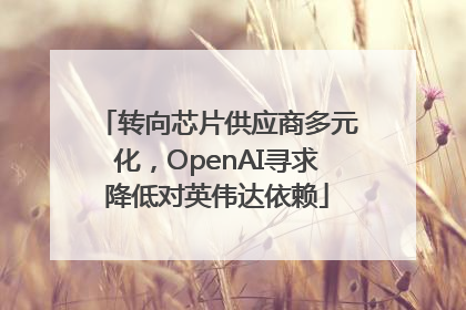 转向芯片供应商多元化，OpenAI寻求降低对英伟达依赖