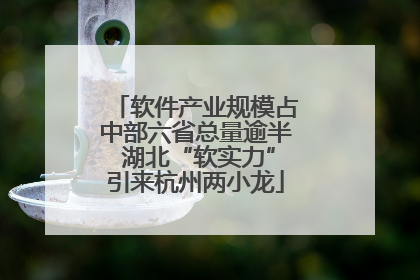 软件产业规模占中部六省总量逾半 湖北“软实力”引来杭州两小龙