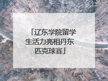 辽东学院留学生活力亮相丹东匹克球赛