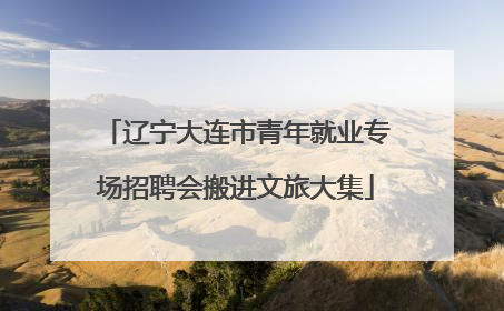 辽宁大连市青年就业专场招聘会搬进文旅大集