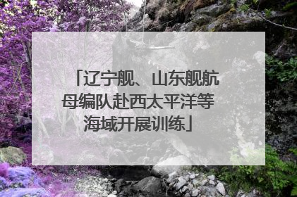 辽宁舰、山东舰航母编队赴西太平洋等海域开展训练