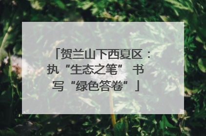 贺兰山下西夏区：执“生态之笔” 书写“绿色答卷”