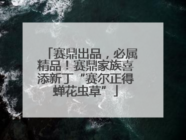 赛鼎出品，必属精品！赛鼎家族喜添新丁“赛尔正得蝉花虫草”