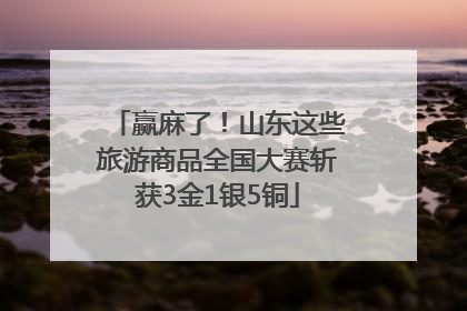 赢麻了！山东这些旅游商品全国大赛斩获3金1银5铜