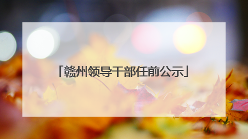 赣州领导干部任前公示