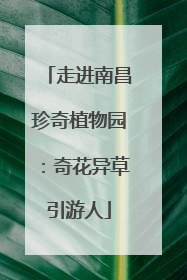 走进南昌珍奇植物园：奇花异草引游人