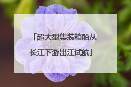 超大型集装箱船从长江下游出江试航