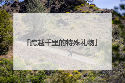 跨越千里的特殊礼物