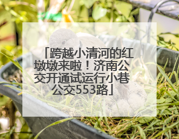 跨越小清河的红墩墩来啦！济南公交开通试运行小巷公交553路