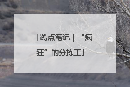 蹲点笔记｜“疯狂”的分拣工