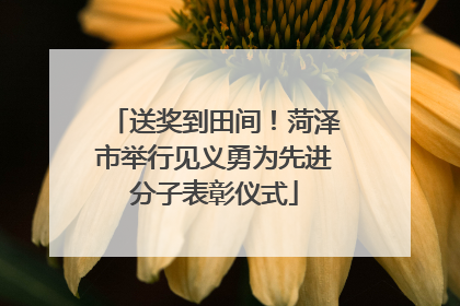 送奖到田间！菏泽市举行见义勇为先进分子表彰仪式