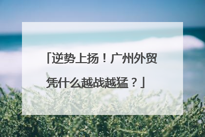 逆势上扬！广州外贸凭什么越战越猛？