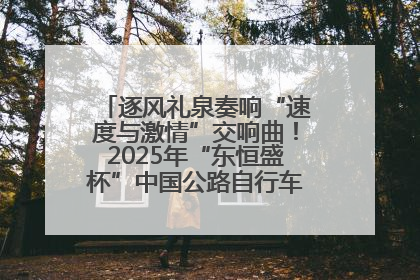 逐风礼泉奏响“速度与激情”交响曲！2025年“东恒盛杯”中国公路自行车联赛第五站（陕西·礼泉站）正式开赛
