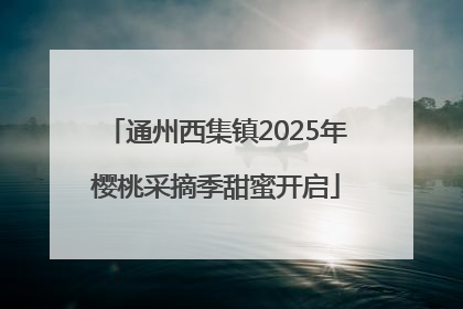 通州西集镇2025年樱桃采摘季甜蜜开启