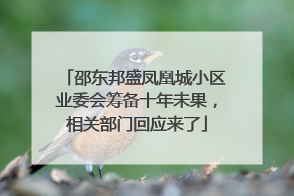 邵东邦盛凤凰城小区业委会筹备十年未果，相关部门回应来了