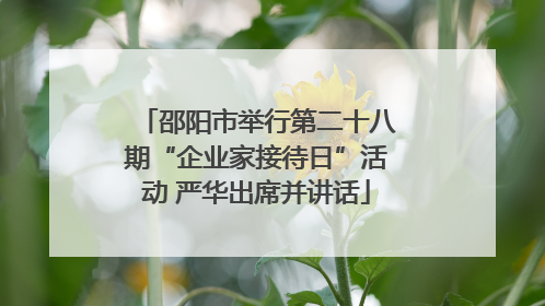 邵阳市举行第二十八期“企业家接待日”活动 严华出席并讲话