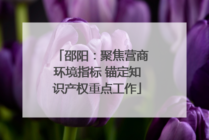 邵阳：聚焦营商环境指标 锚定知识产权重点工作