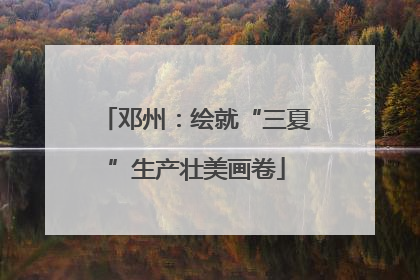 邓州：绘就“三夏”生产壮美画卷