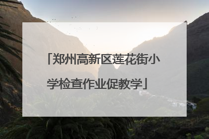郑州高新区莲花街小学检查作业促教学