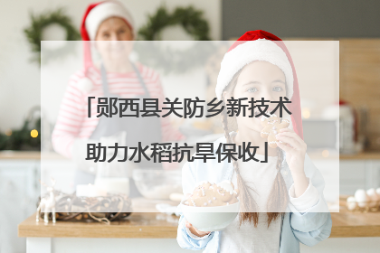 郧西县关防乡新技术助力水稻抗旱保收