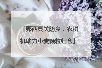 郧西县关防乡：农耕机助力小麦颗粒归仓