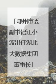 鄂州市委副书记汪小波出任湖北大数据集团董事长
