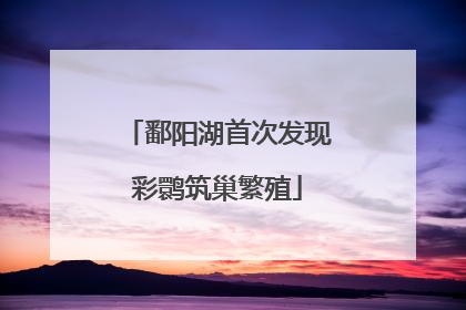 鄱阳湖首次发现彩鹮筑巢繁殖