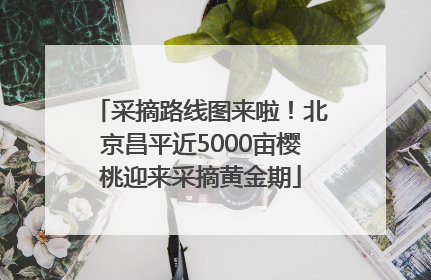 采摘路线图来啦！北京昌平近5000亩樱桃迎来采摘黄金期