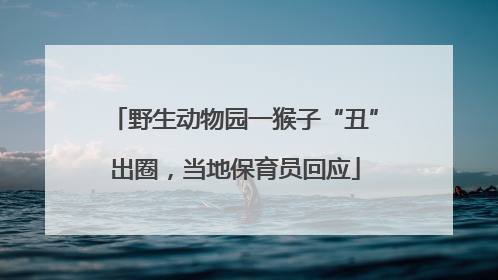 野生动物园一猴子“丑”出圈，当地保育员回应