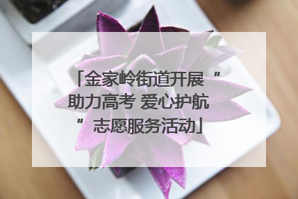 金家岭街道开展“助力高考 爱心护航”志愿服务活动