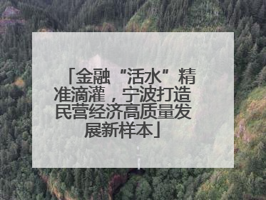 金融“活水”精准滴灌，宁波打造民营经济高质量发展新样本
