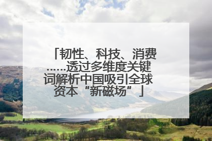 韧性、科技、消费……透过多维度关键词解析中国吸引全球资本“新磁场”