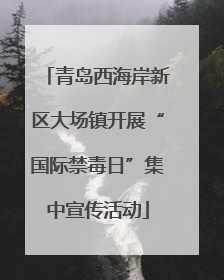 青岛西海岸新区大场镇开展“国际禁毒日”集中宣传活动